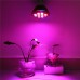 12W AC230V Rot&Blau E27 LED pflanzenlampe Pflanzenlicht Wachstum Lampe